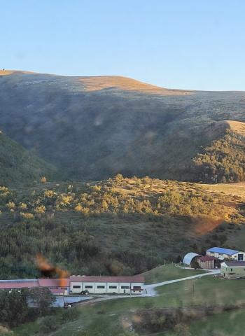 Rinomata azienda biologica Liberti (Azienda Agricola/Prodotti Tipici)