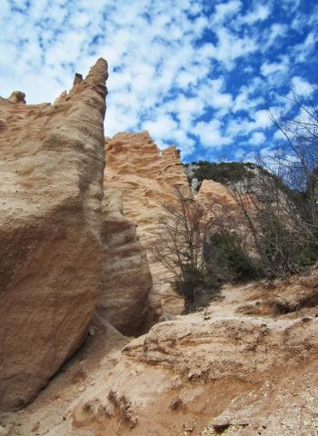 Lame Rosse