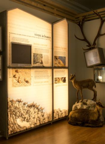 Visita guidata al Museo del Camoscio