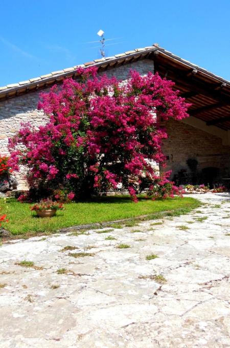 Casa Mameli