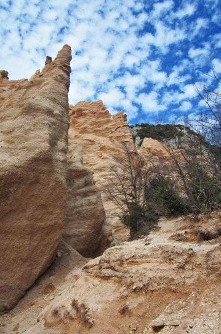 Lame Rosse