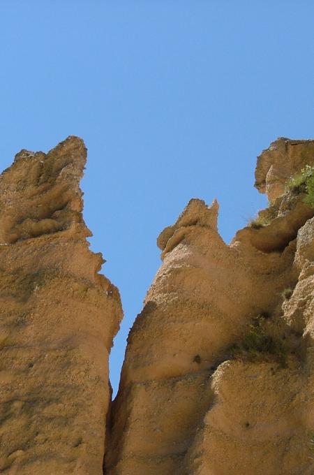 Lame Rosse