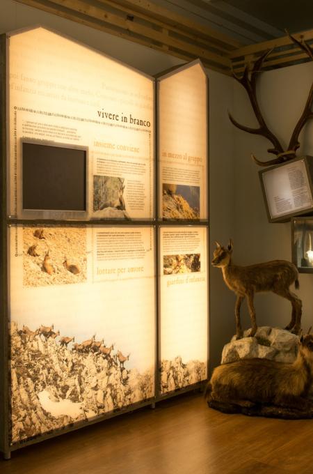 Visita guidata al Museo del Camoscio